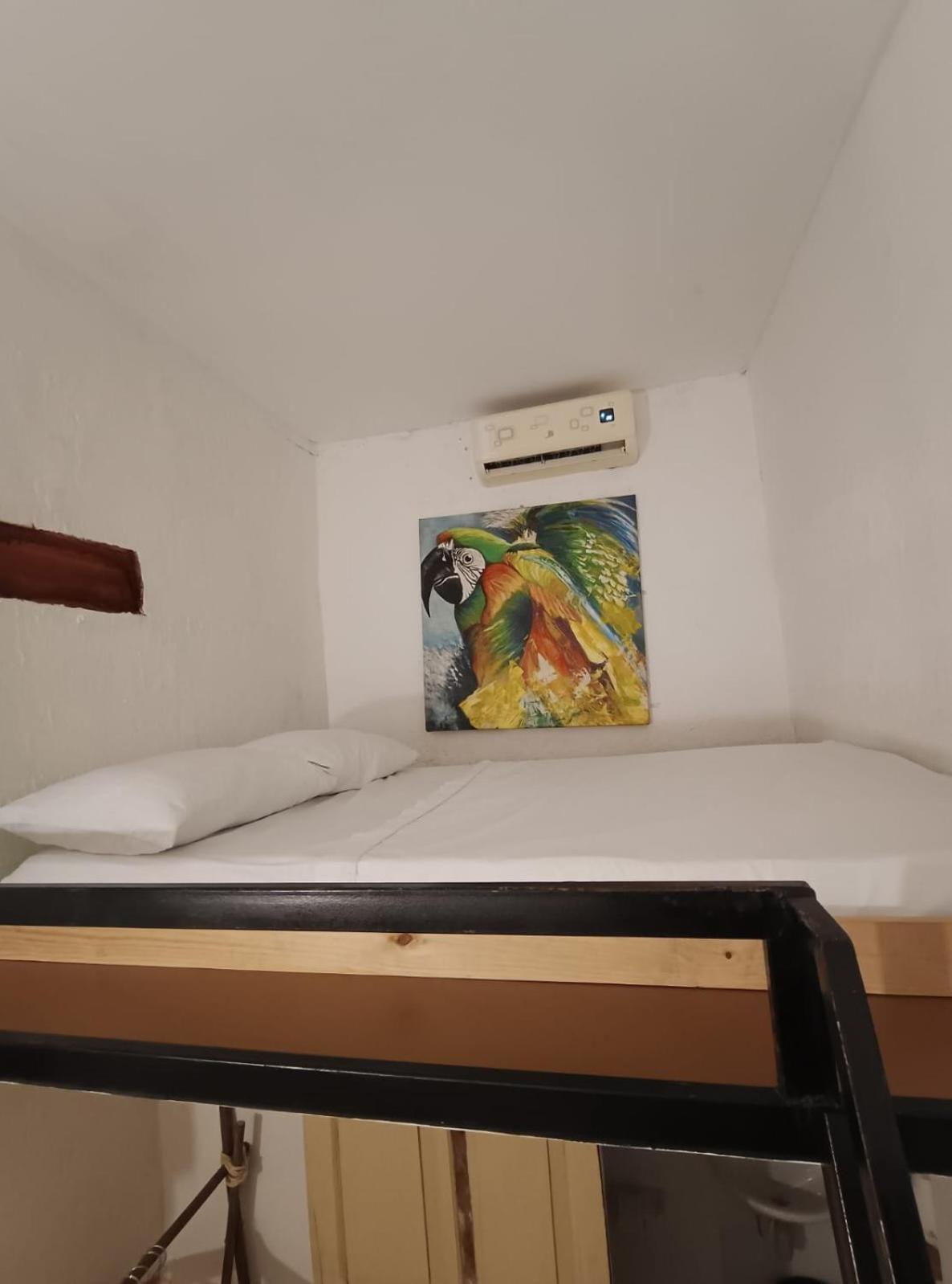 Lotus Central Hotel ซันตามาร์ตา ภายนอก รูปภาพ