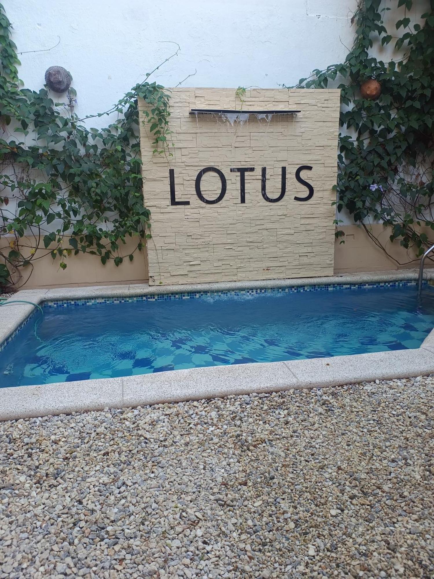 Lotus Central Hotel ซันตามาร์ตา ภายนอก รูปภาพ